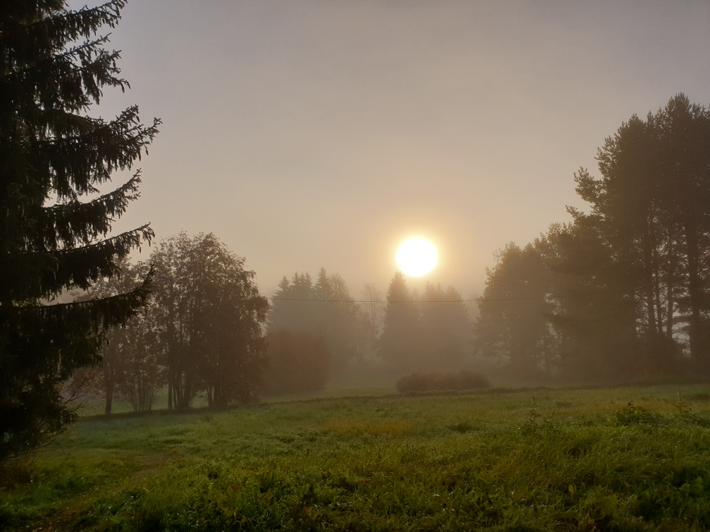 Kuva Aurinko